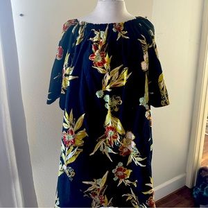 Free people smock dress wore once